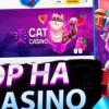 Cat Casino вход на официальный игровой сайт
